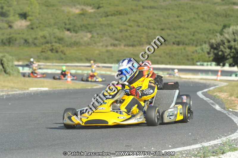 DSC (4133).JPG